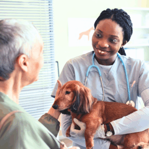 Delivering Value When Discussing Pricing & Treatment Plans