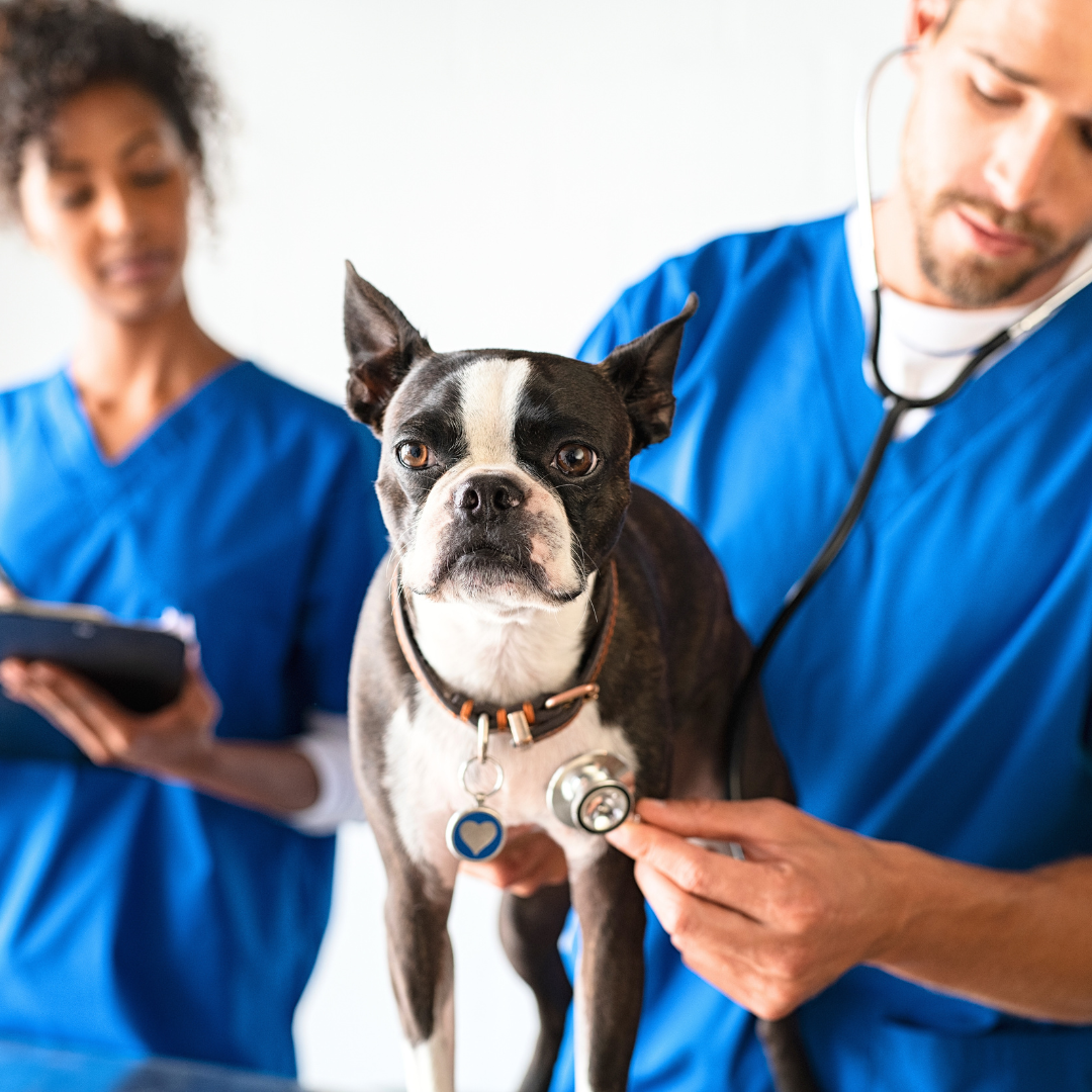 Optimising the consult flow