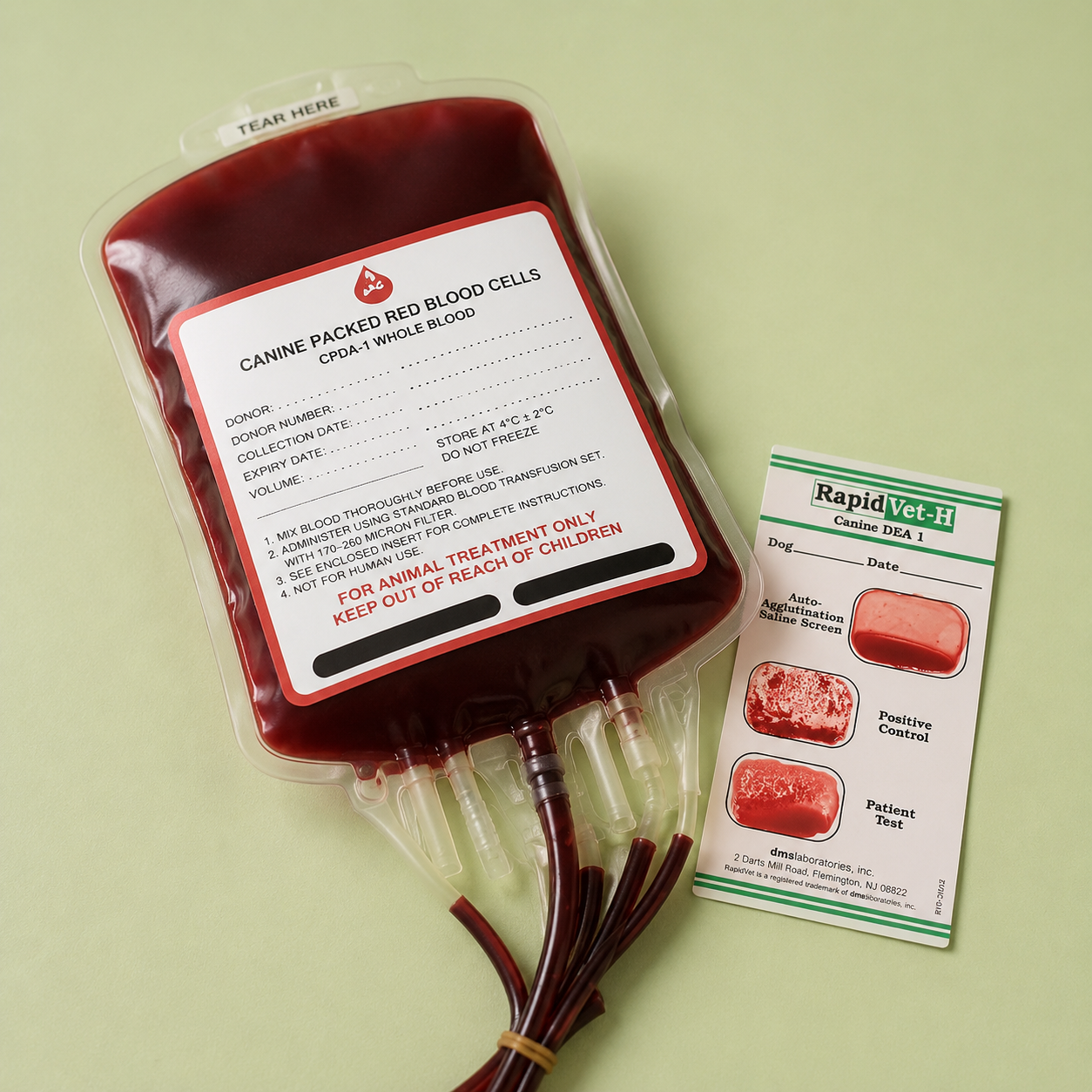 Blood Transfusions