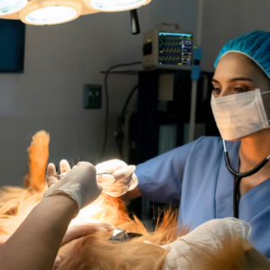 Capnography – More than just a number