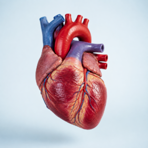 Cardiovascular Disease