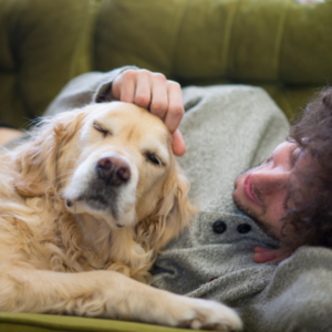 Care Considerations for Senior Pets
