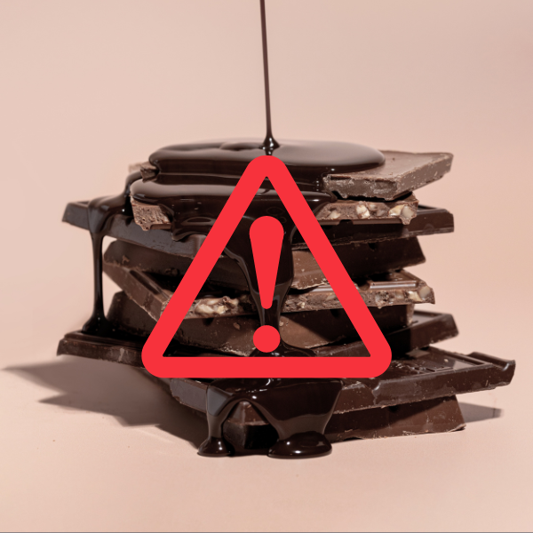 Chocolate Toxicity
