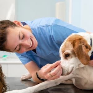 Communication for Veterinary Nurse Consultations