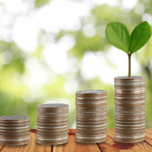Digital Workshop: How to Grow Your Profit Without Increasing Fees