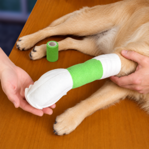 How to Apply a Foot Bandage
