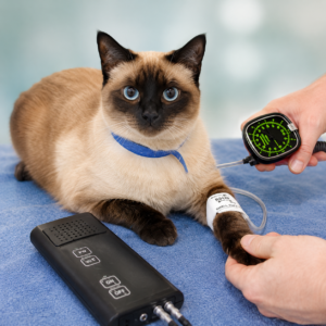 Doppler Blood Pressure