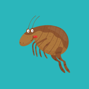 How to Talk to Clients About Fleas