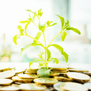 Maximising Financial Return Part 2