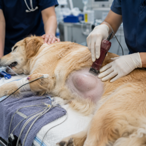 Surgical Preparation in the Emergency Setting