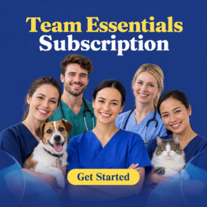 Team Essential Subscription
