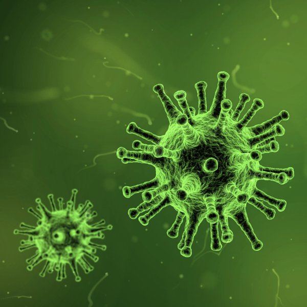 Infection Control Techniques