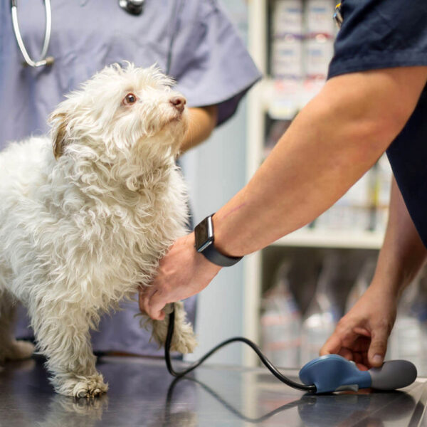 Blood Pressure Monitoring