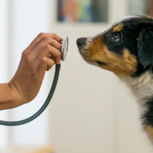 Patient Assessment: Its more than the numbers
