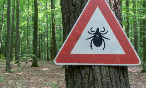 DW10_Toxicity_SQ DW10_Toxicity_SQ