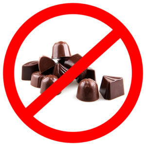 Chocolate Toxicity