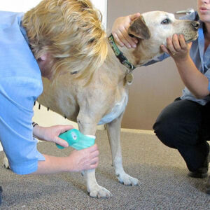 Bandaging Techniques