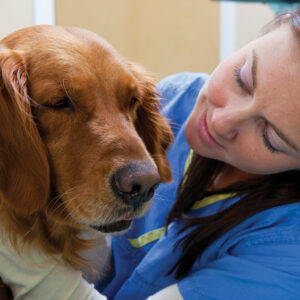 Preparing Patient to go Home